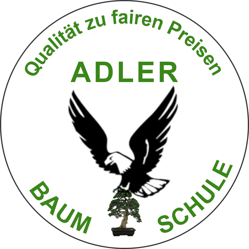 ADLER Baumschule Nürnberg